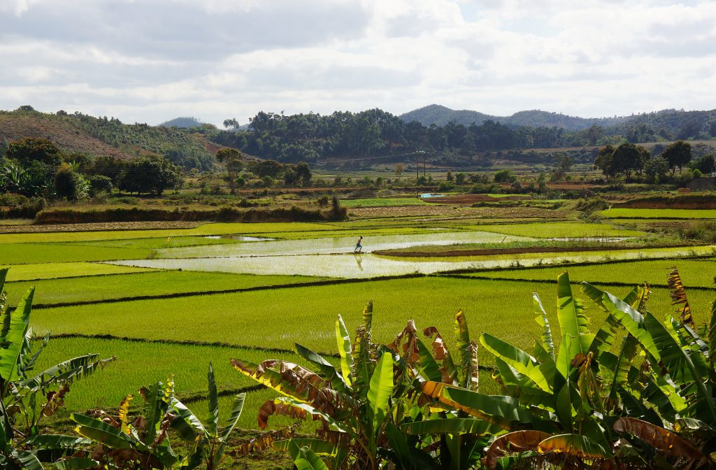 Madagaskar Opener 001 2000px