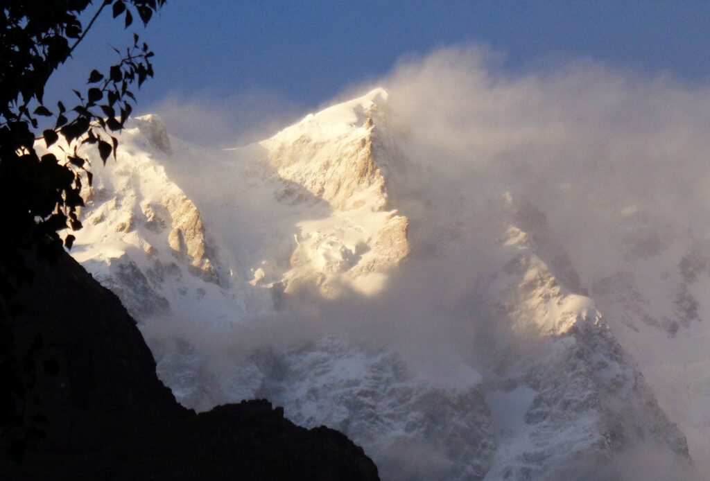 Pakistan opener 009 2000px