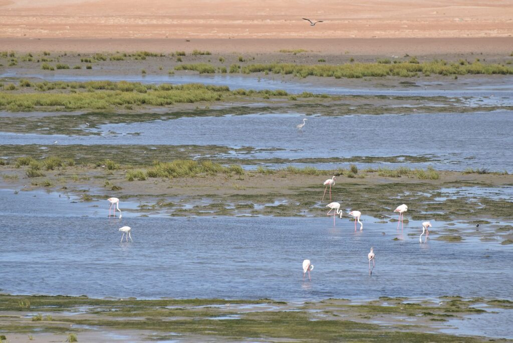 Mauretanien Neu 2000px 008