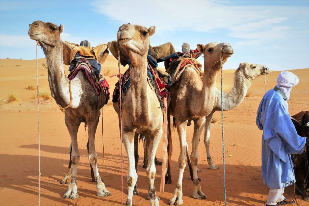 Mauretanien_036_2000px