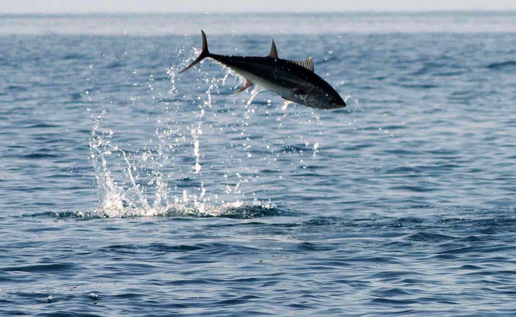 Iran_Qeschm_Slider_2000px_01