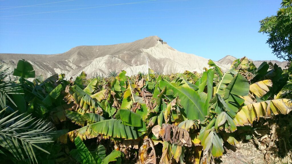 Iran_Qeschm_Slider_2000px_45