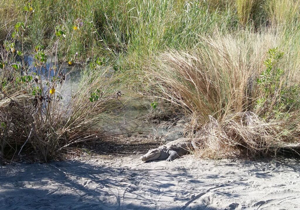 Iran_Qeschm_Slider_2000px_47