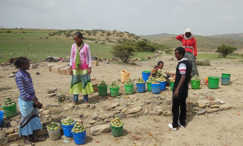 Äthiopien_new_2000px_14