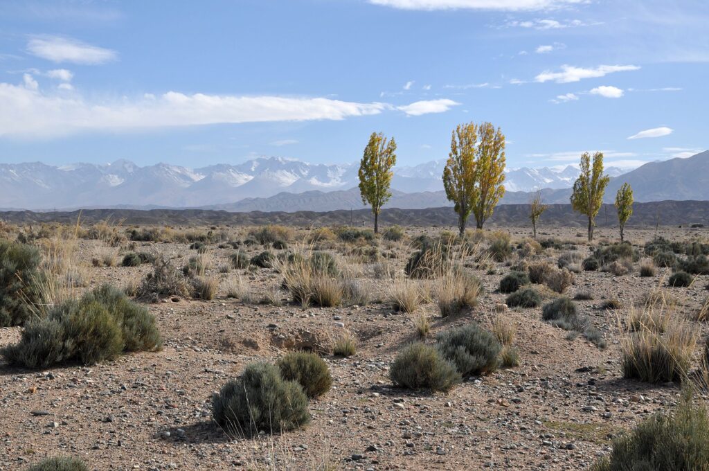 Kirgistan 030 2000px