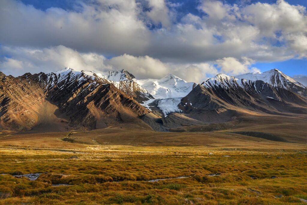 Pakistan opener 016 2000px