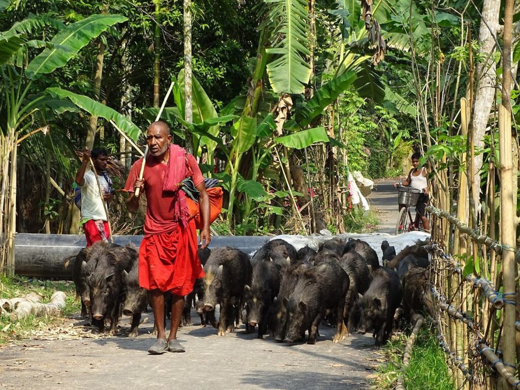 Bangladesch Slider 023 2000px