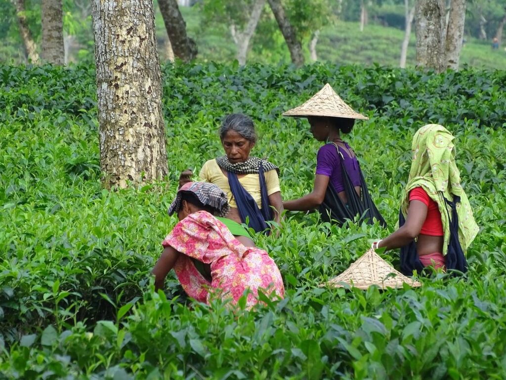 Bangladesch Slider 027 2000px