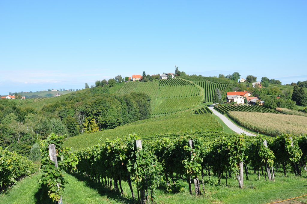 Slowenien Slider 01 2000px