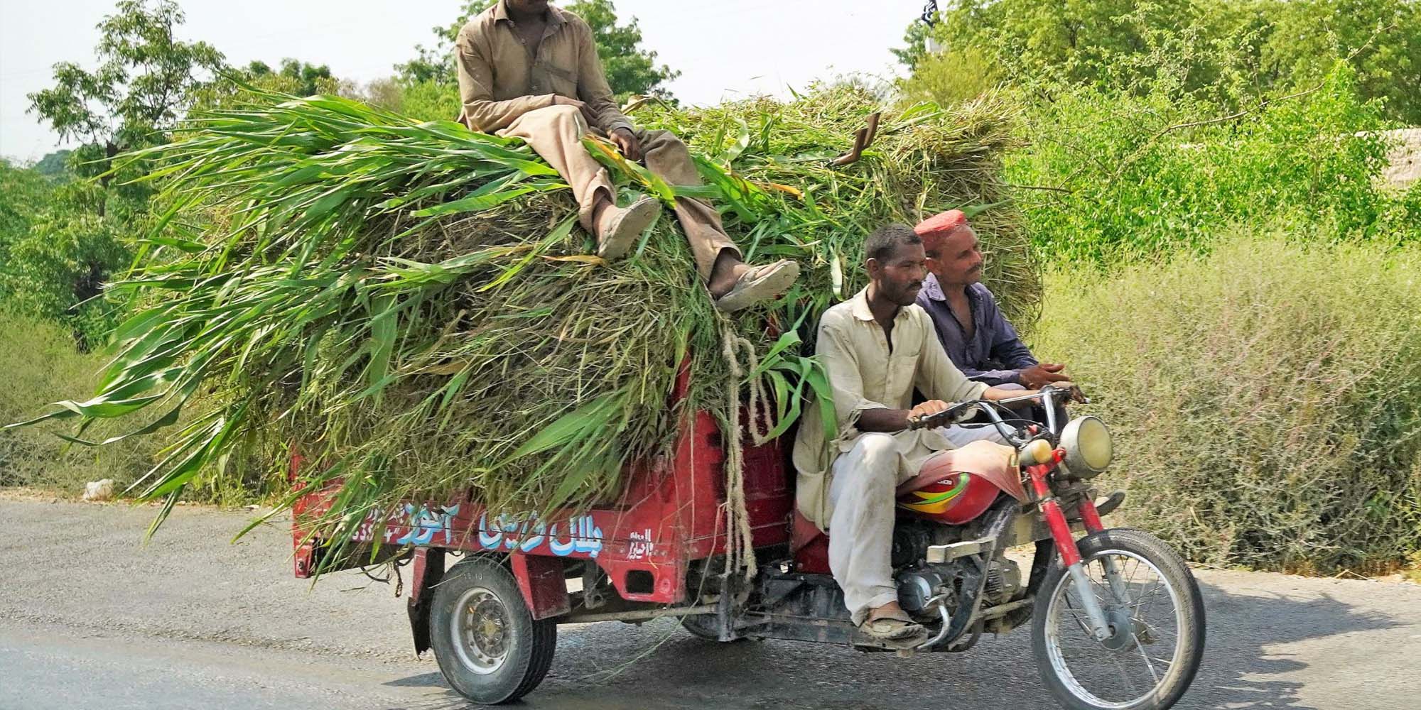 Startseite Slider Bangladesch slide24