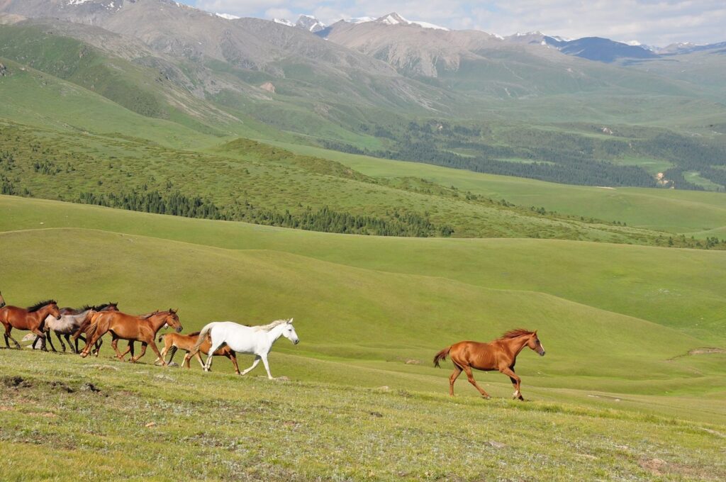 Kasachstan 015 2000px