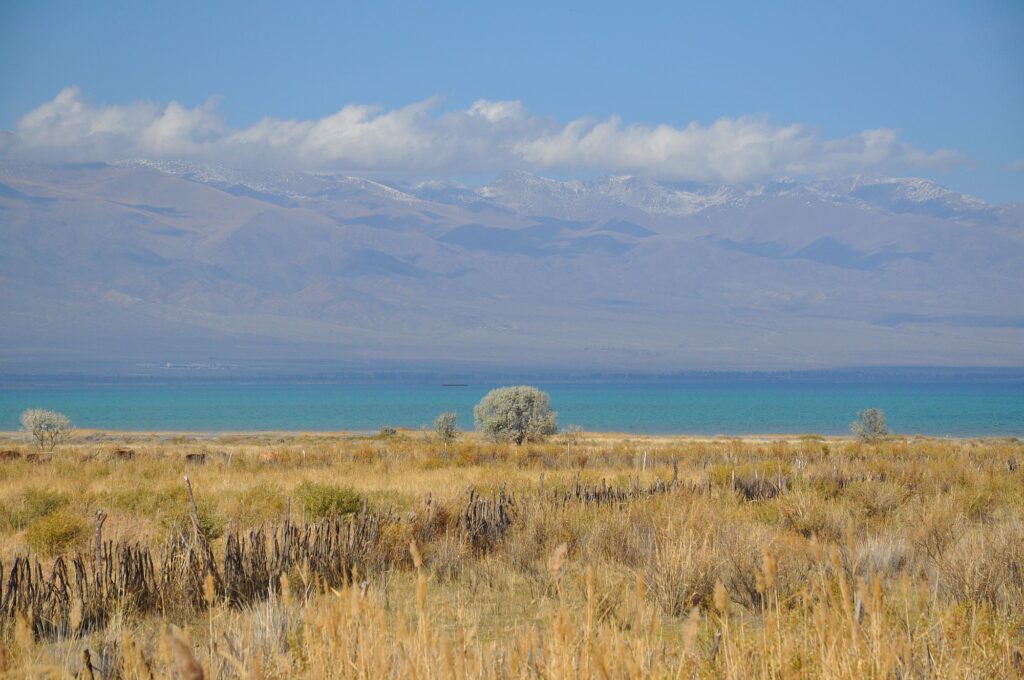 Kirgistan 029 2000px