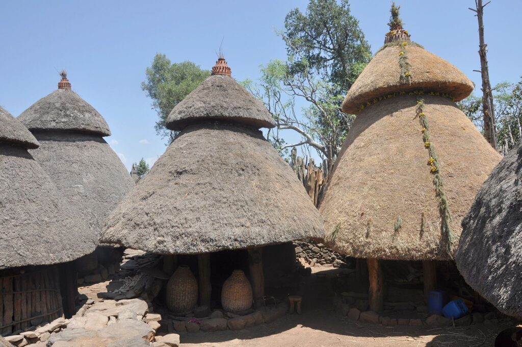 Äthiopien_new_2000px_31