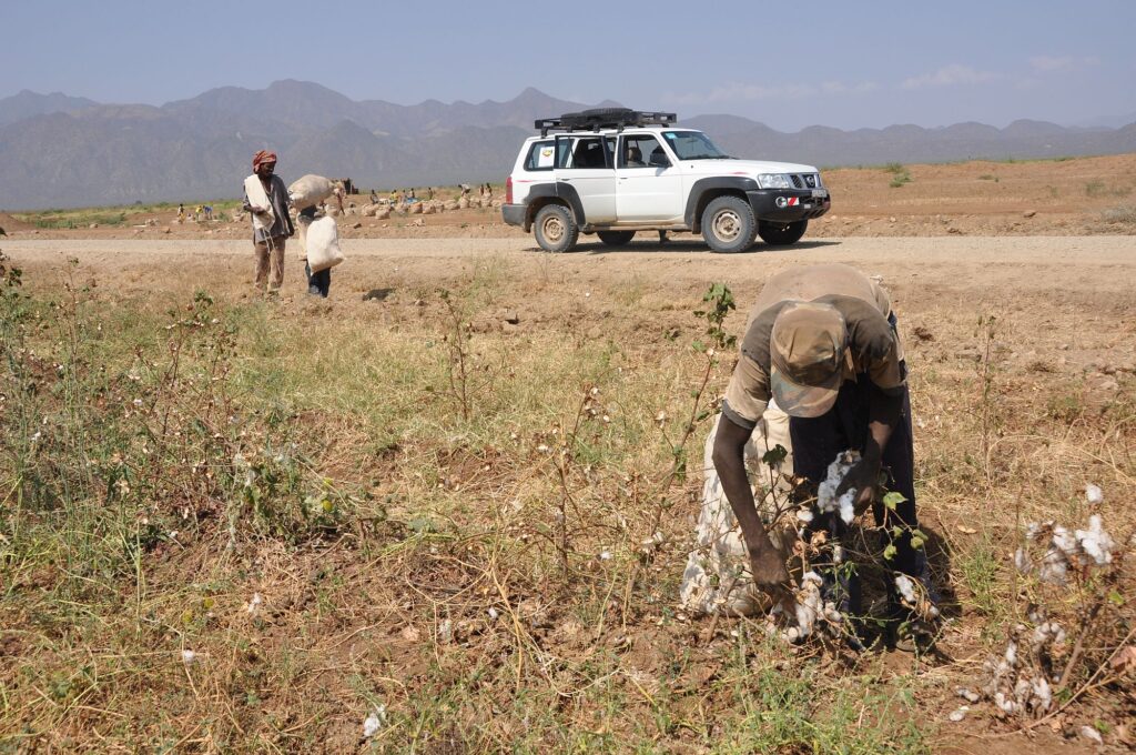 Äthiopien_new_2000px_37