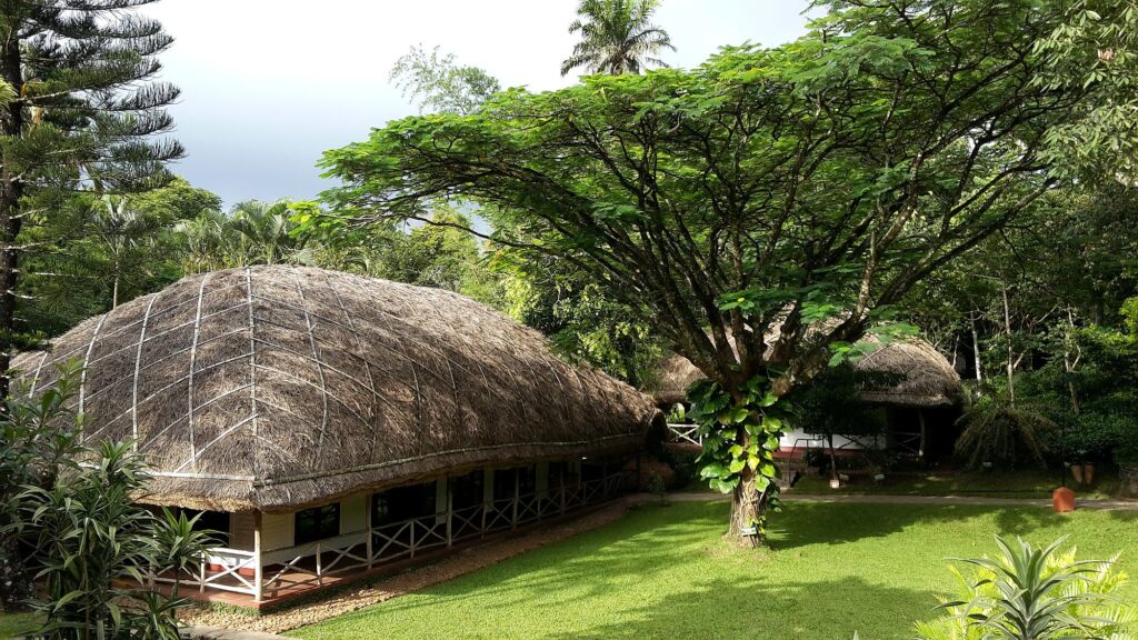 Indien_Kerala_Slider_Neu_2000px_017