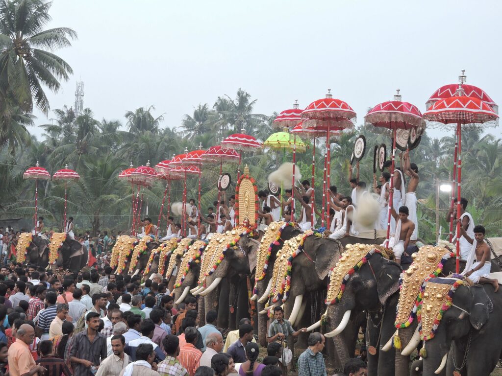 Indien_Kerala_Slider_Neu_2000px_032