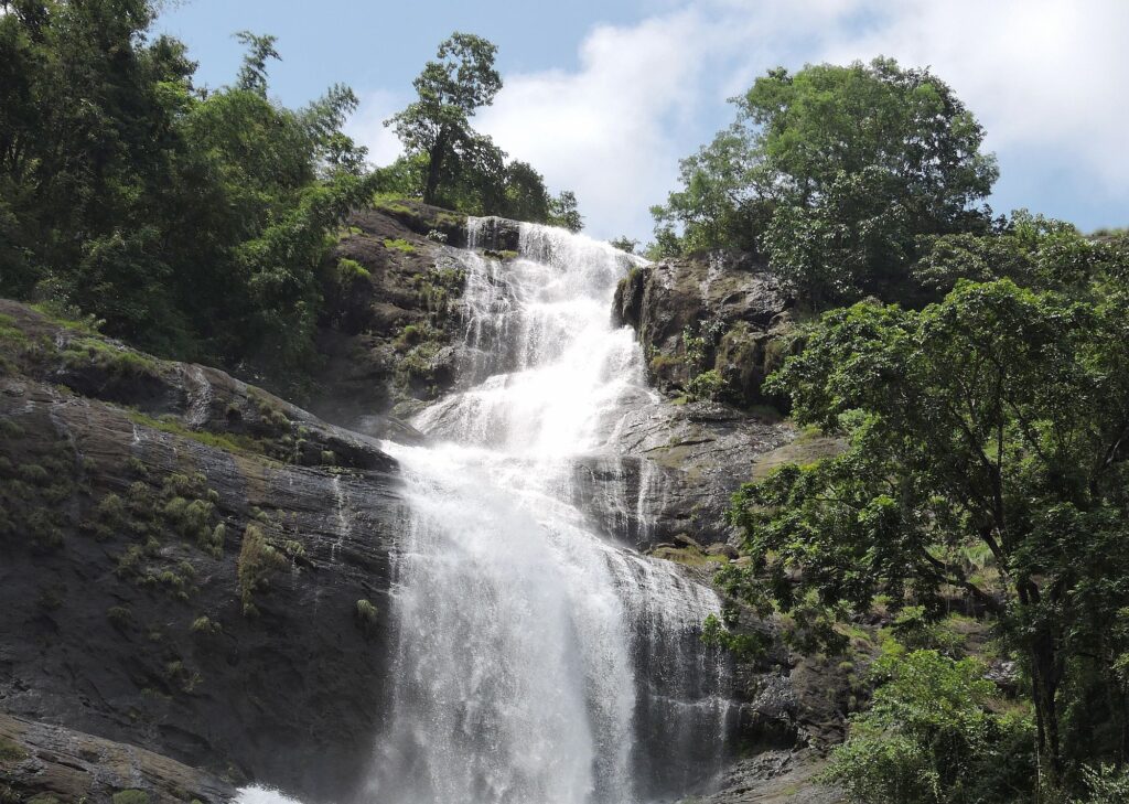 Indien_Kerala_Slider_Neu_2000px_040