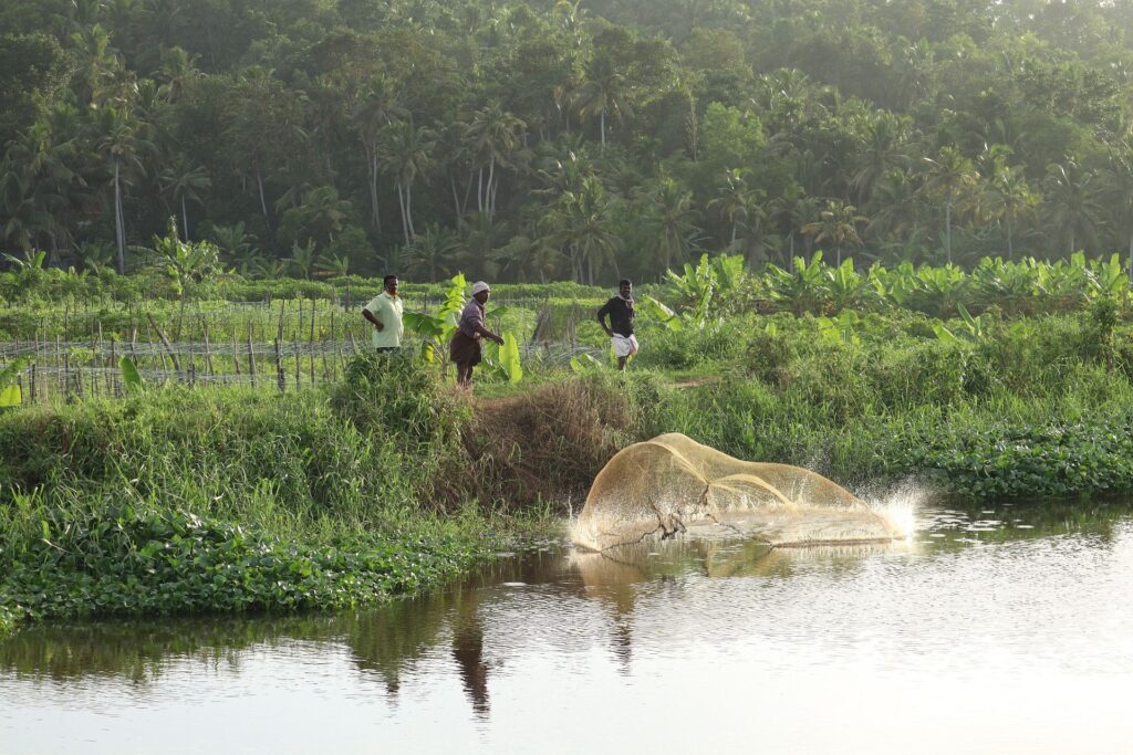 Indien_Kerala_Slider_Neu_2000px_068