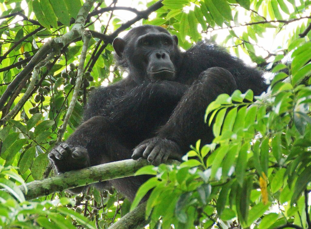 Uganda_Slider_2000px_020