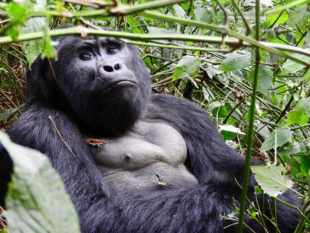 Uganda_Slider_2000px_024