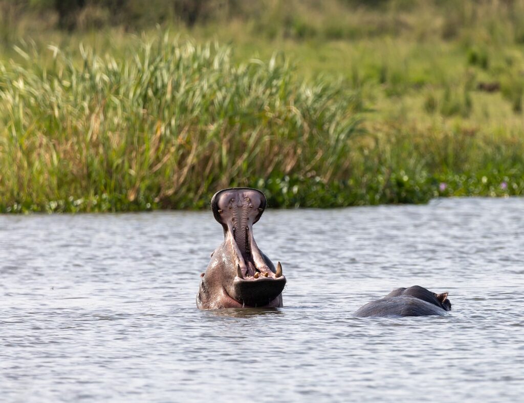 Uganda_Slider_2000px_042