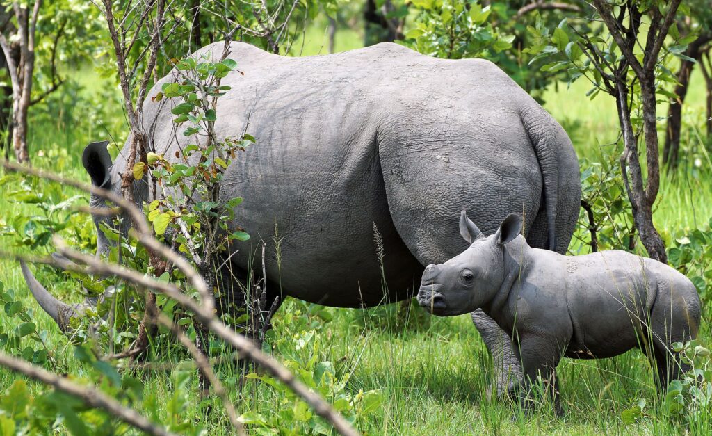 Uganda_Slider_2000px_078