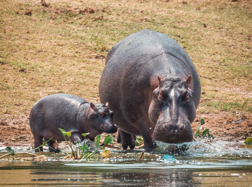 Uganda_Slider_2000px_084