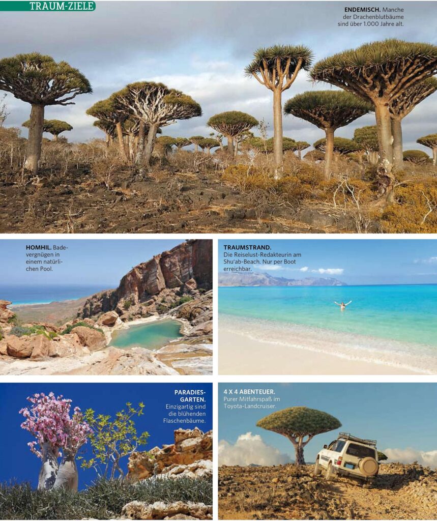 Sokotra_Artikel_03