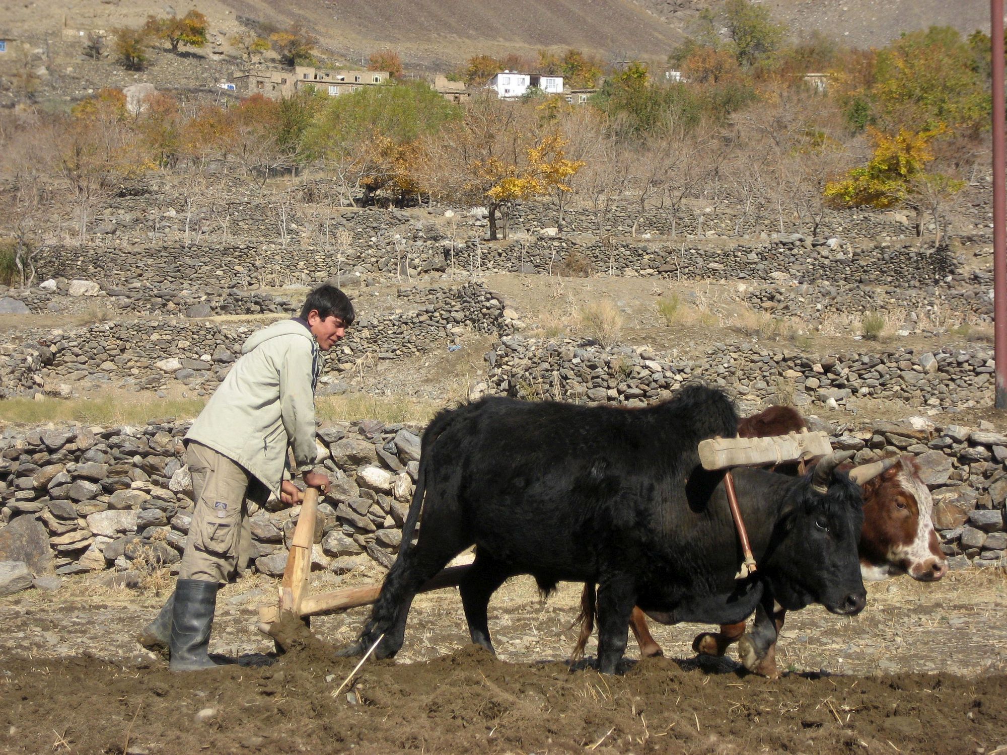 Afghanistan_AD_2000px_023