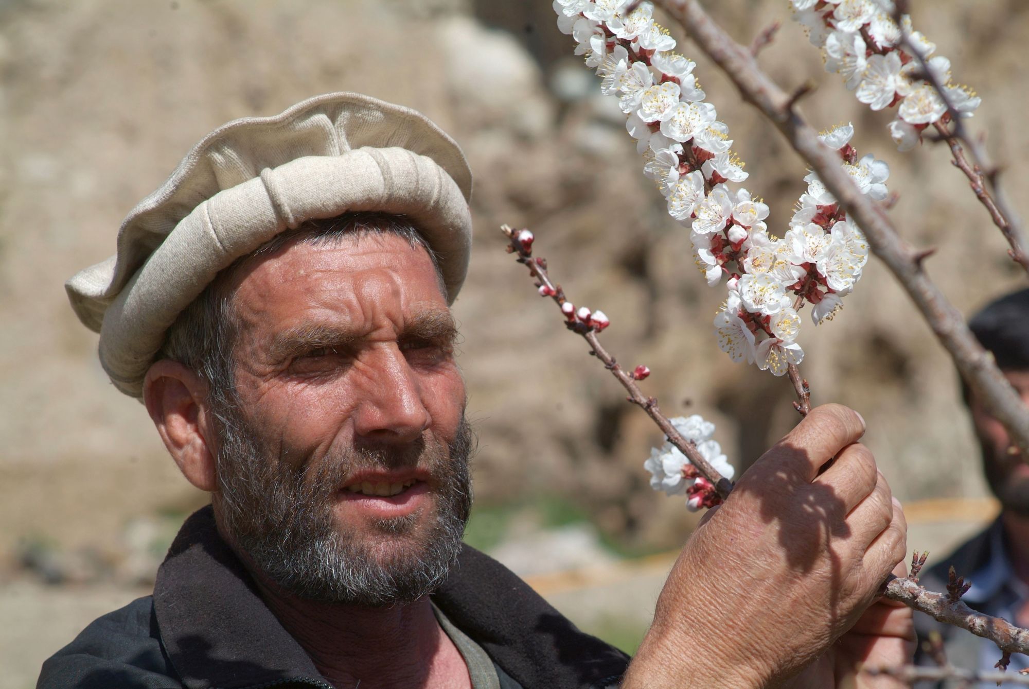 Afghanistan_AD_2000px_063