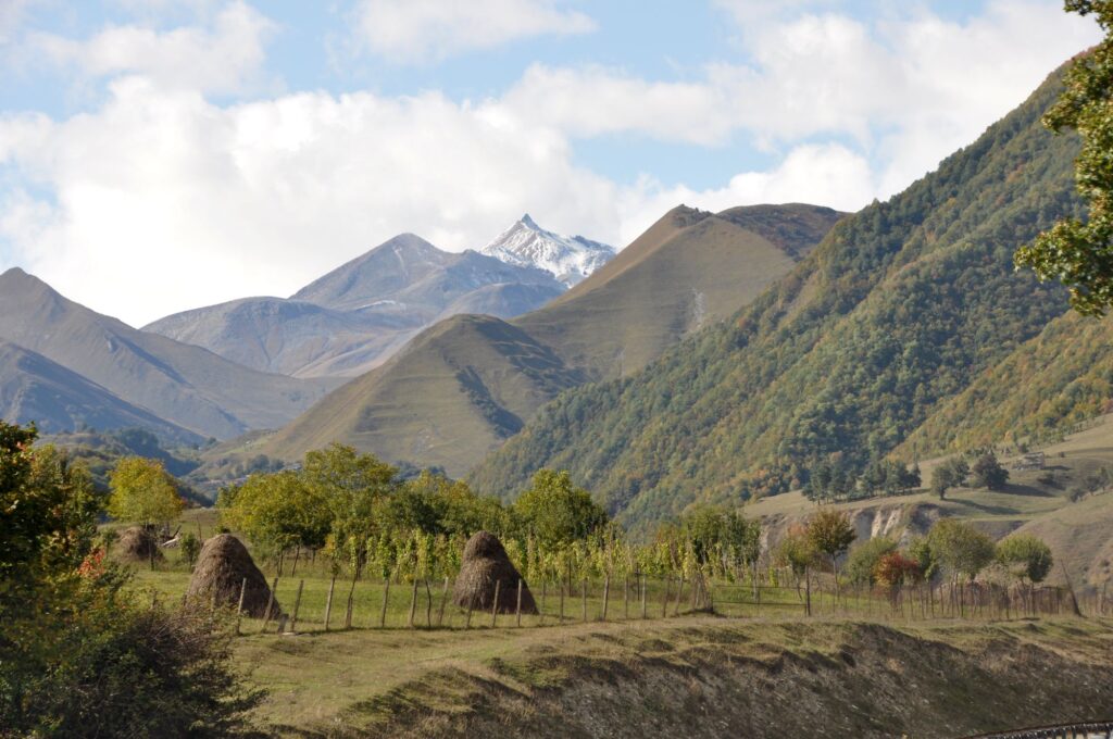 Georgien-MIG-2000px-031