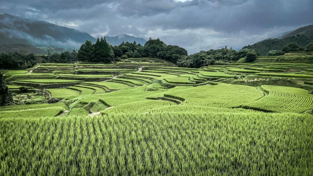 Japan-Slider-2000px-035