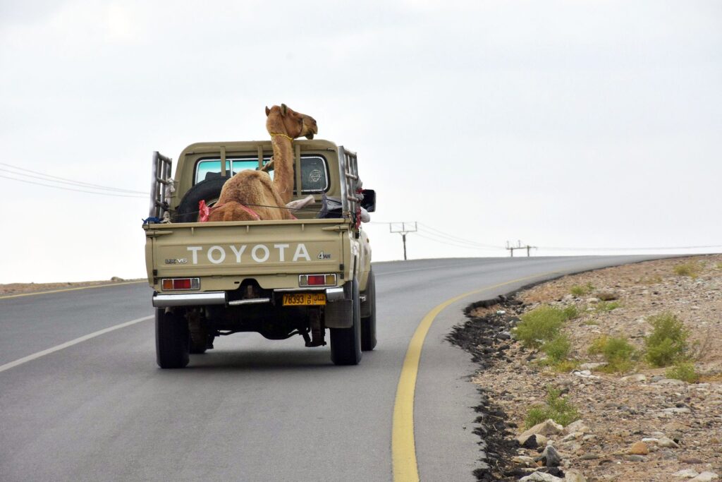 Oman-Fotos-Neu-2000-px-008