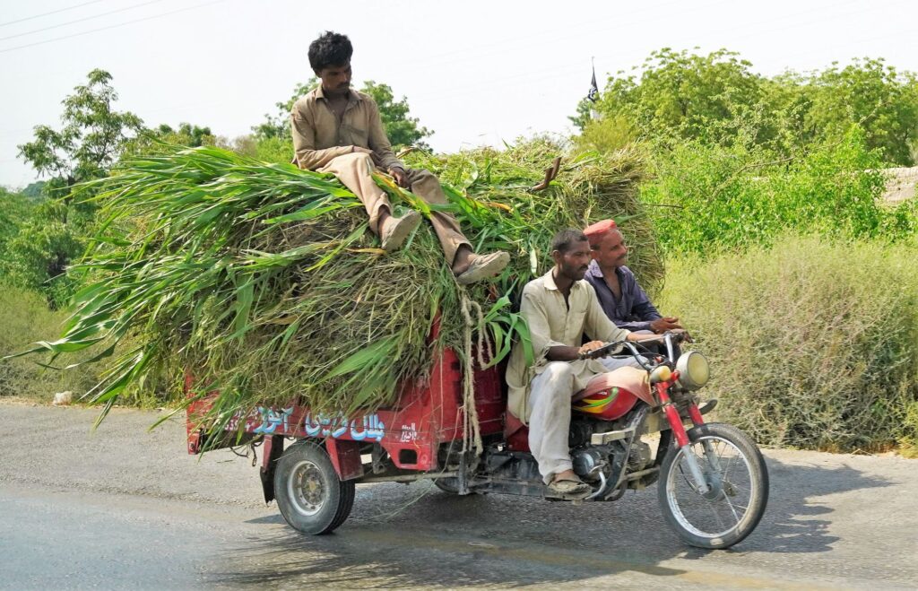 Pakistan-Lachmann-2000px-011