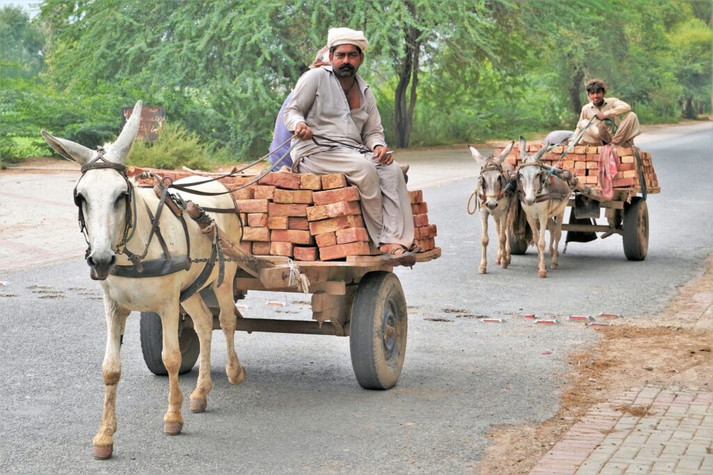 Pakistan-Lachmann-2000px-018