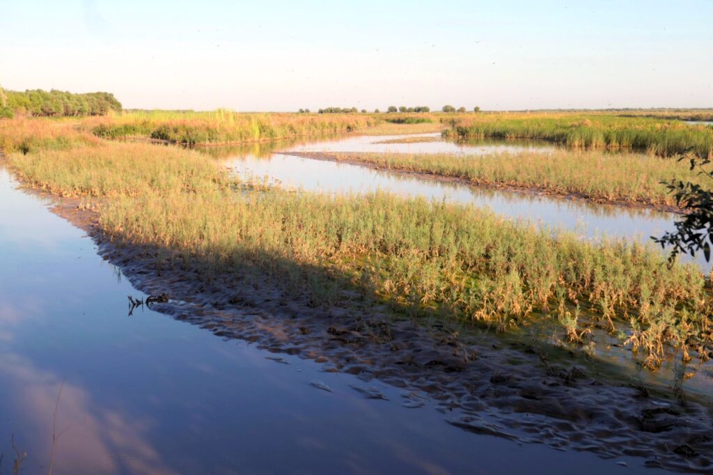 Usbekistan-NEU-2000px-020