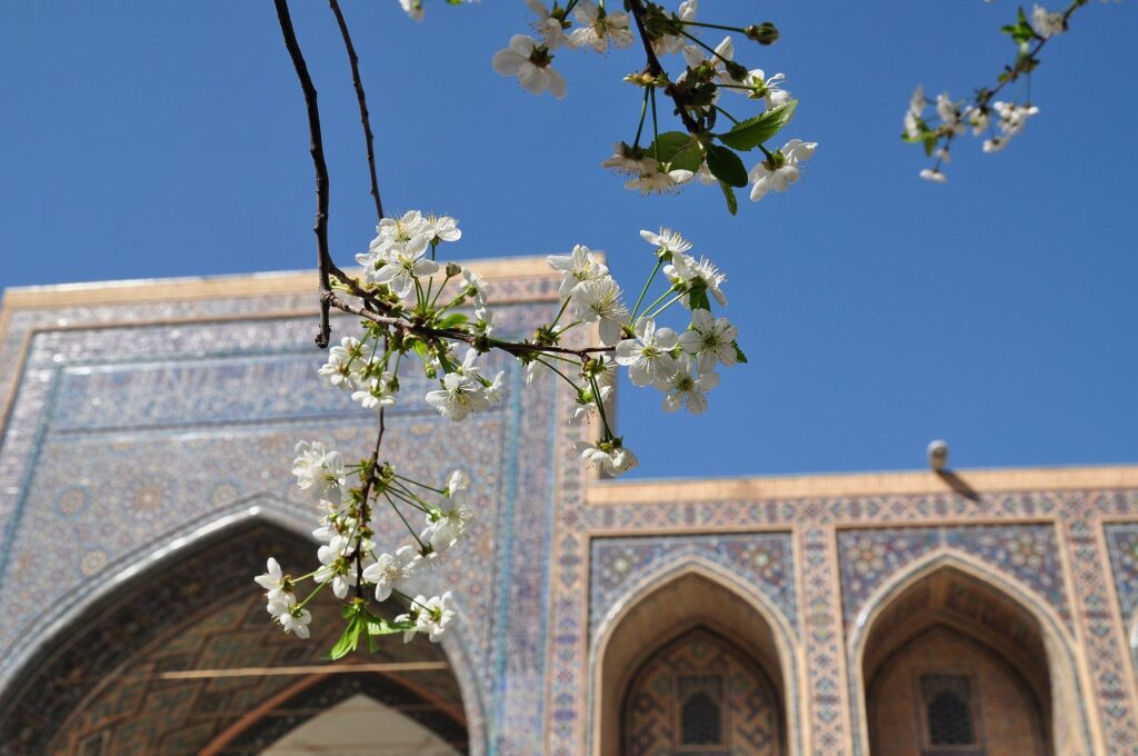 Usbekistan-Zug-2000px-021